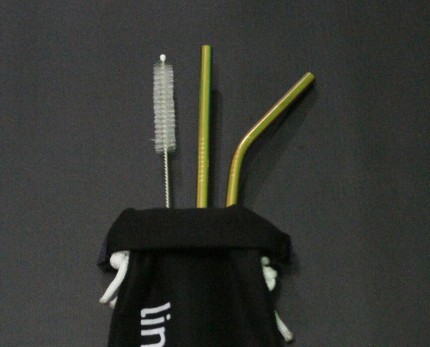 Stainless Straw